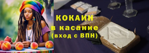 дживик Алексин