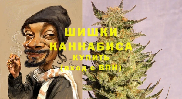 бошки Саяногорск