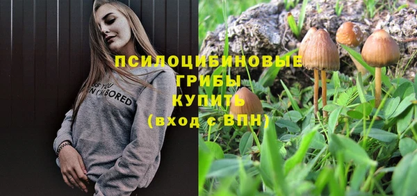 дживик Алексин