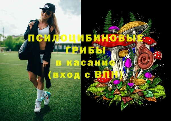 синтетический гашиш Алексеевка