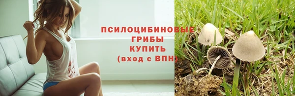 mdpv Алзамай