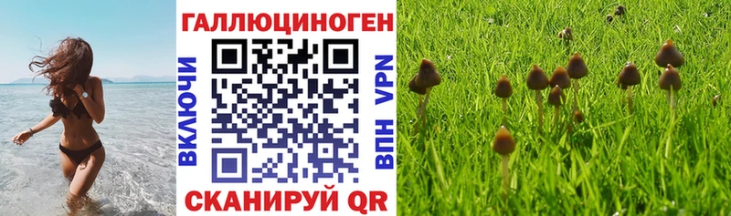 Псилоцибиновые грибы Psilocybine cubensis shop какой сайт Карабаш